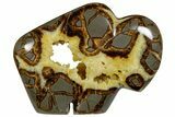 Calcite Crystal Filled, Polished Septarian Buffalo - Utah #176034-2